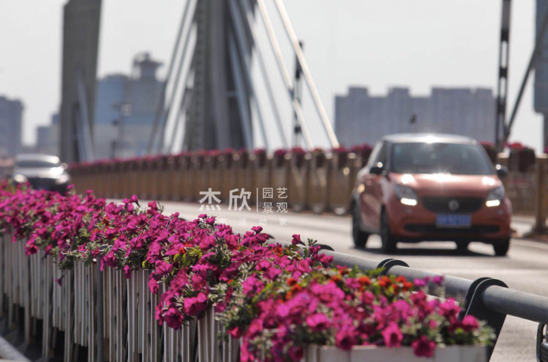花箱尺寸如何確定？